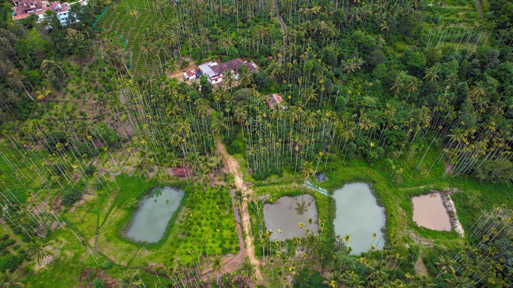 Wayanad Palm Grove Retreat G Floor Daire Sultan Bathery Dış mekan fotoğraf