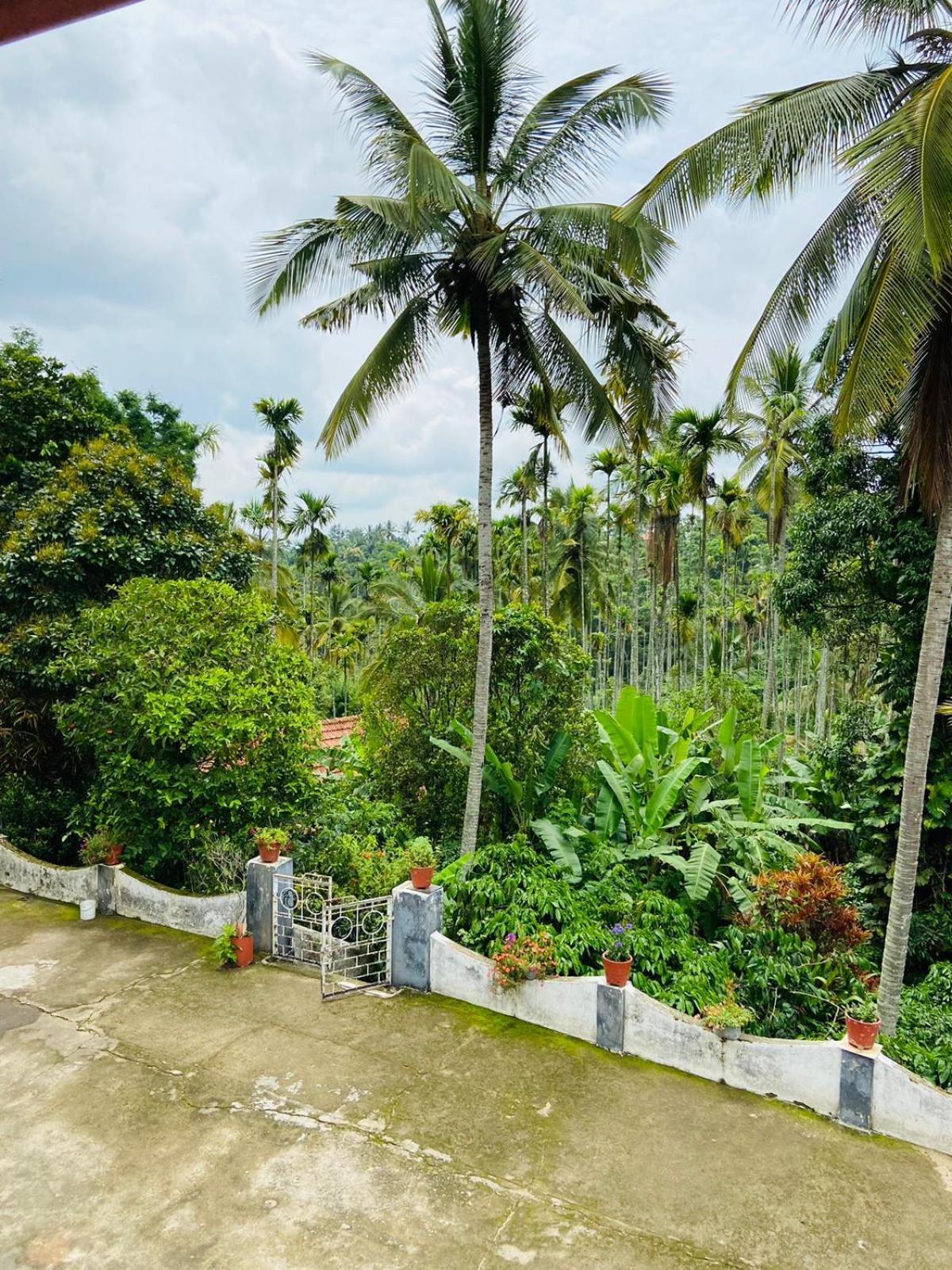 Wayanad Palm Grove Retreat G Floor Daire Sultan Bathery Dış mekan fotoğraf